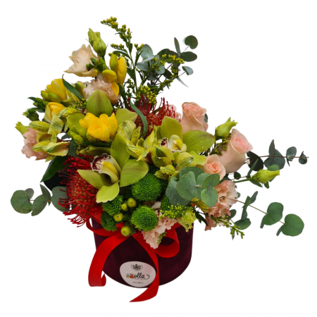 aranjament-floral-olla-in-cutie-de-catifea-cu-orhidee-cymbidium [2]