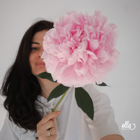 buchet-de-flori-olla-din-bujori-roz-sarah-bernhardt [1]