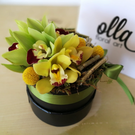 Buchete de Flori si Aranjamente florale - Cutie cu flori Olla din Orhidee si Craspedia cadou corporate