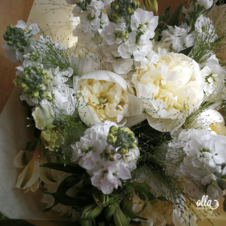 Emotie Pura, buchet de flori Olla, din Bujori albi, Matthiola alba si Alstroemeria alba [0]