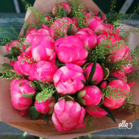 Fericire cat Cuprinde, buchet de flori Olla, din Bujori Corai Coral Charm 31 fire si verdeata [2]