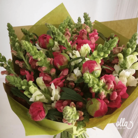 Parfum de Primavara, buchet de flori Olla, din Bujori Corai si Gura Leului [1]