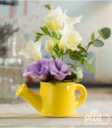 Buchete de Flori si Aranjamente florale - Aranjament floral de primavara Olla cu Frezii si Eustoma in stropitoare