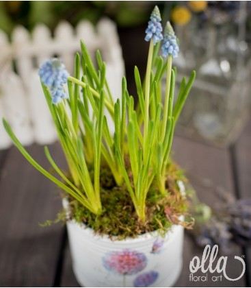Buchete de Flori si Aranjamente florale - Inceput de primavara, aranjament floral Olla pe suport de vas ceramic