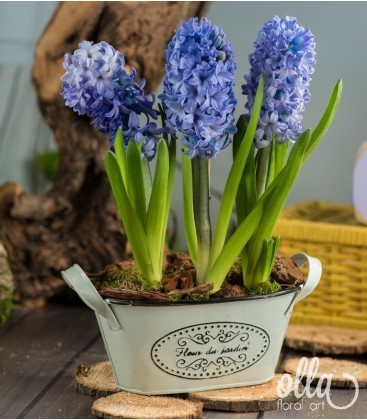 Buchete de Flori si Aranjamente florale - Inspiratie azurie, aranjament floral de primavara