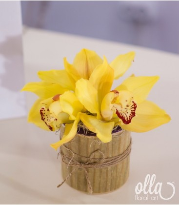 Cadouri florale corporate - Primavara pura, aranjament floral pe suport de lemn