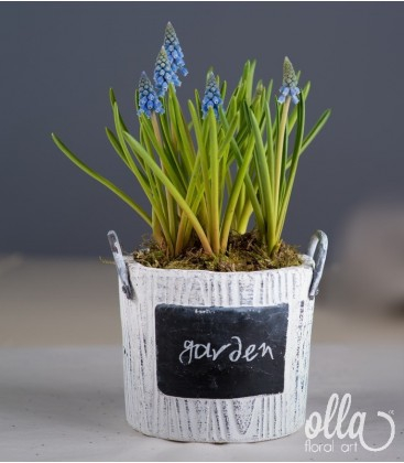 Buchete de Flori si Aranjamente florale - Inceputul Promitator, aranjament floral pe suport de vas ceramic