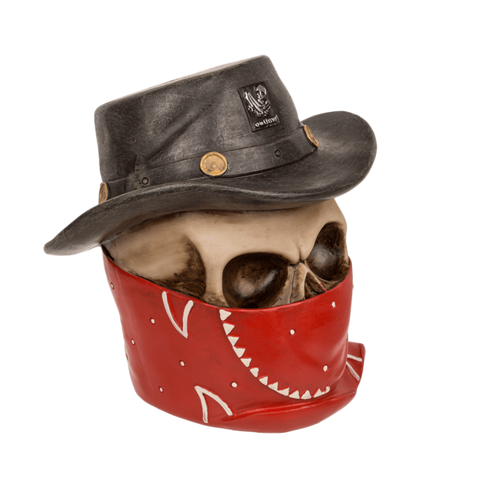 Pusculita model craniu Bandit [2]