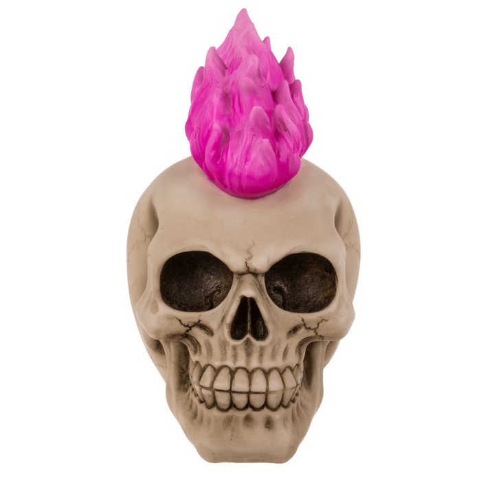 Pusculita Craniu - Punk [5]