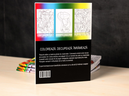 Carte de colorat pentru adulti: Coloreaza si Inrameaza [3]
