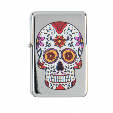 Bricheta Model Craniu [1]