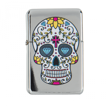 Bricheta Model Craniu [2]