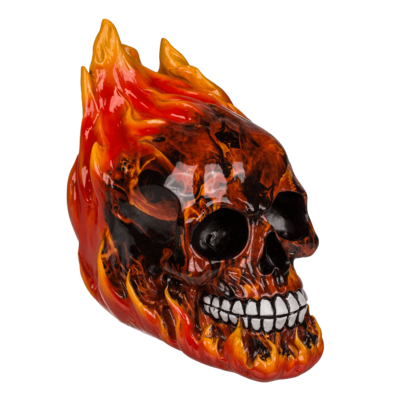 Pusculita Craniu in flacari [1]