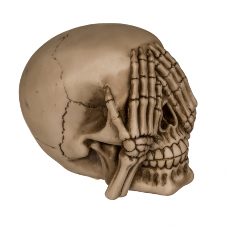 Pusculita craniu intelept - 3 modele [1]