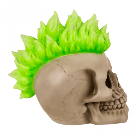Pusculita Craniu - Punk [3]