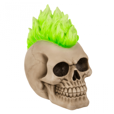 Pusculita Craniu - Punk [1]