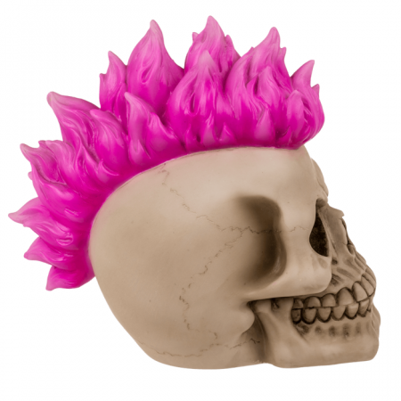 Pusculita Craniu - Punk [2]