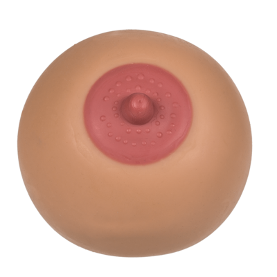 San Antistres XL [1]