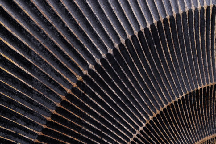 Bar GOLDEN SUNSET din lemn de mango negru, 140 cm [6]