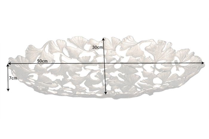 Bol decorativ FRUNZE DE GINKGO 50x30cm argintiu [9]