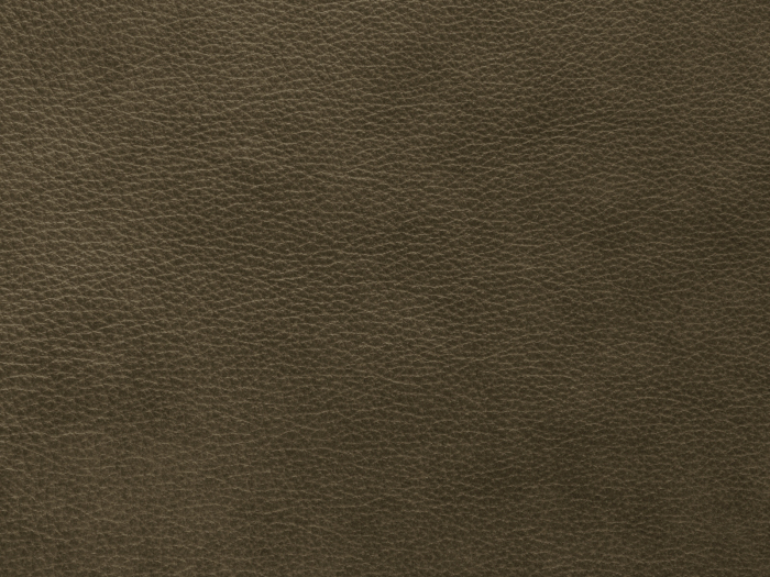 Canapea Moni cu 2 locuri si tapiterie din piele naturala [4]