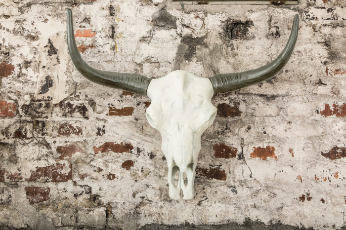 Decorațiune de perete craniu EL TORO 70 cm aluminiu alb negru [4]