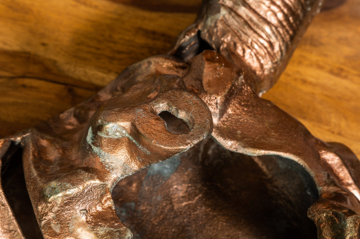 Decorațiune de perete craniu MATADOR 70 cm cupru marmorat [9]