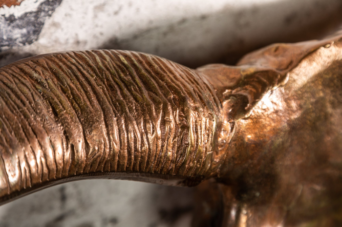 Decorațiune de perete craniu MATADOR 70 cm cupru marmorat [6]