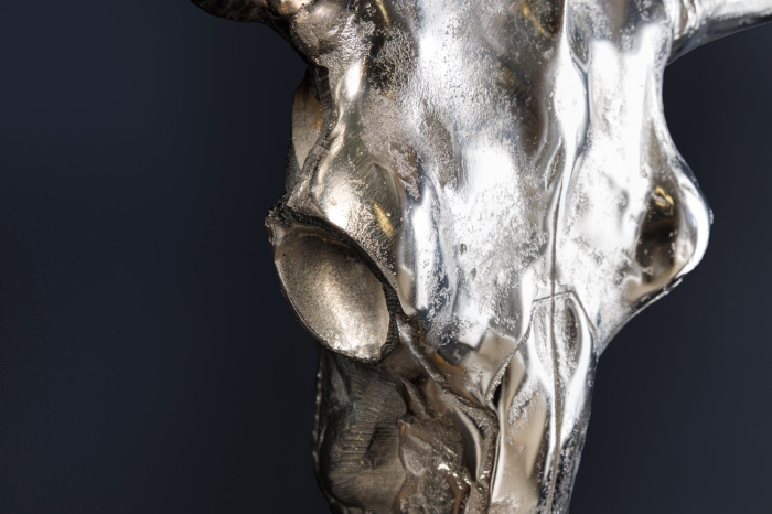 Decorațiune de perete craniu MATADOR argintiu [7]