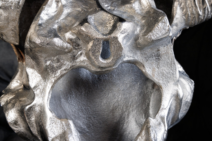 Decorațiune de perete craniu MATADOR argintiu [9]