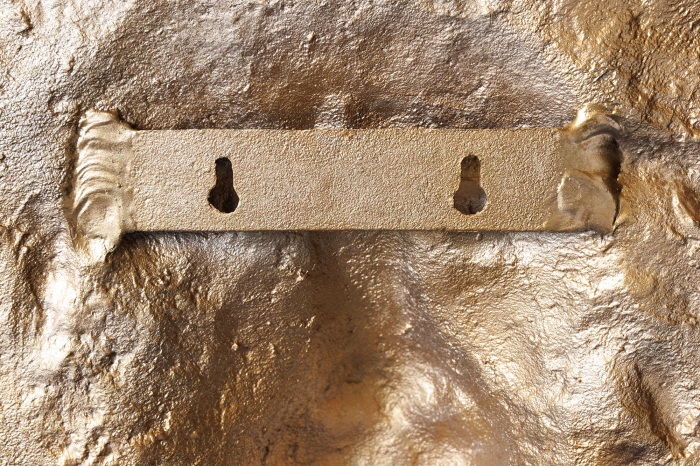 Decorațiune de perete WILDLIFE LION 60 cm, auriu [9]