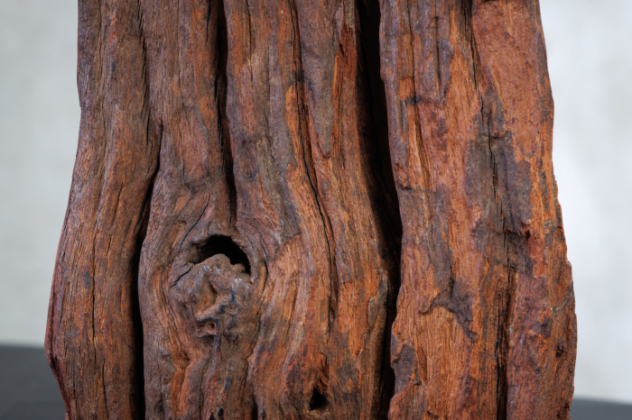 Lampă de masă ROUSILIQUE 60cm abajur din bumbac, lemn plutitor [6]