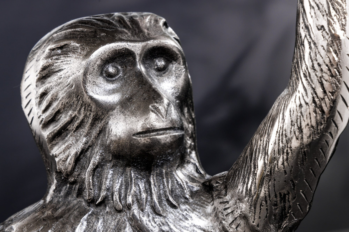 Masă laterală WILDLIFE MONKEY 55cm argintie [7]