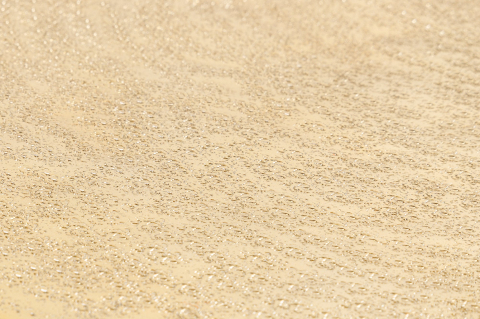 Masuta de cafea ORGANIC ORIENT, 70 cm [5]