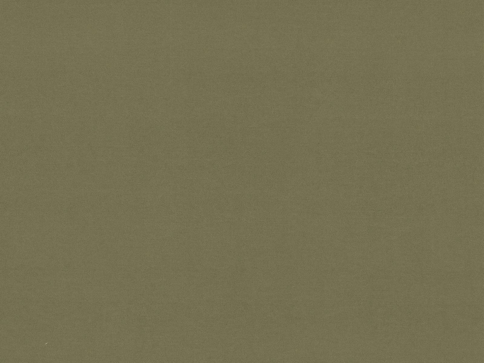 Pat Aveline cu tapițerie din catifea și piele artificială [4]