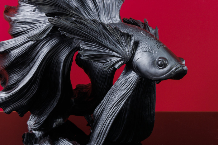 Pește decorativ CROWNTAIL 65 cm din poliresină neagră [6]