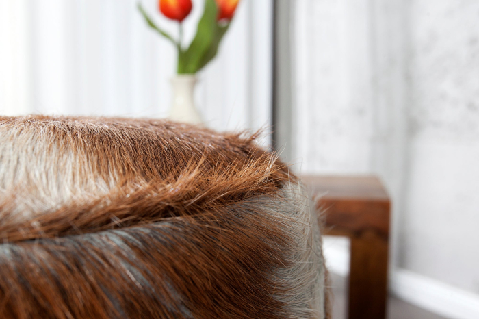 Scaun HIDE din par de capra si lemn de tec, 45 cm [4]