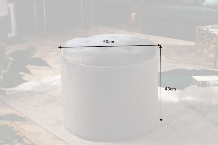 Scaun MODERN BAROCK STORAGE 50 cm catifea argintiu [8]