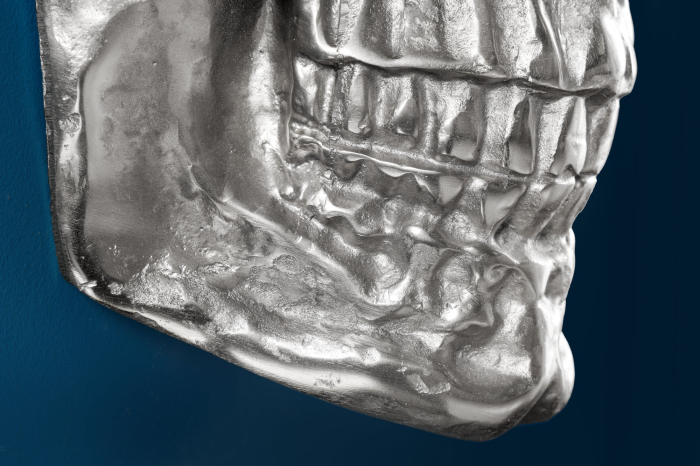 Sculptură decorativă de perete SKULL 40 cm aluminiu argintiu [7]