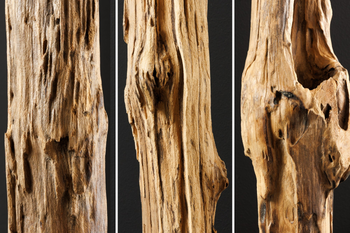 Sculptură REEF 100-125 cm lemn de pluș [7]