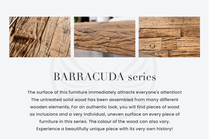 Set de 2 măsuțe laterale BARRACUDA din lemn reciclat [10]