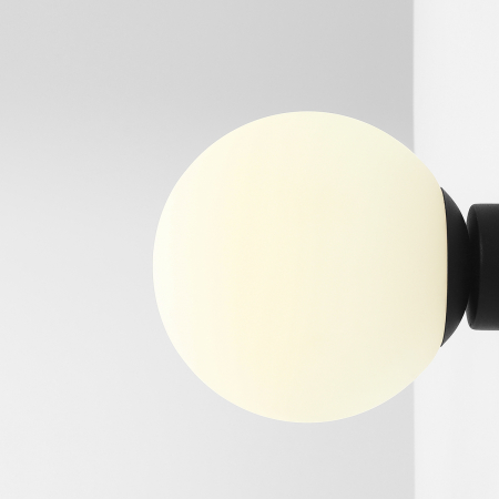 Aplică BALL BLACK M [4]