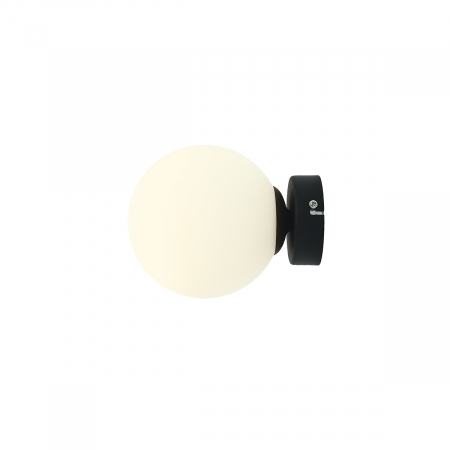Aplică BALL BLACK S [5]