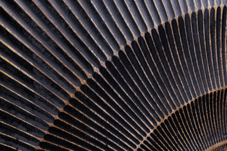 Bar GOLDEN SUNSET din lemn de mango negru, 140 cm [5]