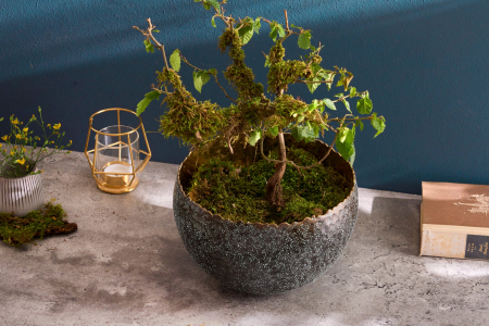 Bol ORIENT 24 cm argintiu cu patină [2]