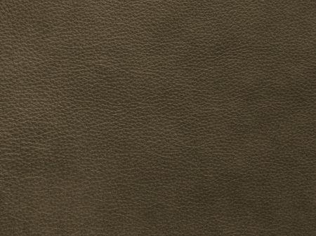 Canapea Moni cu 2 locuri si tapiterie din piele naturala [3]