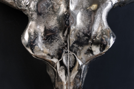 Decorațiune de perete craniu MATADOR argintiu [5]