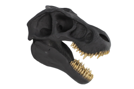 Decorațiuni - Decorațiune de perete sculptură T-REX 40 cm negru