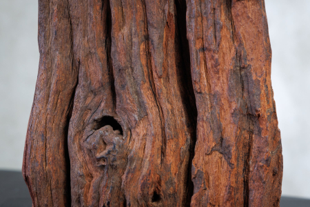 Lampă de masă ROUSILIQUE 60cm abajur din bumbac, lemn plutitor [5]