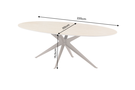 Masă de dining TRAVERTIN 220 cm ovală, ceramică, culoare șampanie-greige [13]